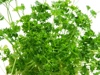 herb parsley