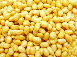 sojabohne