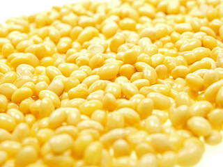 soybean