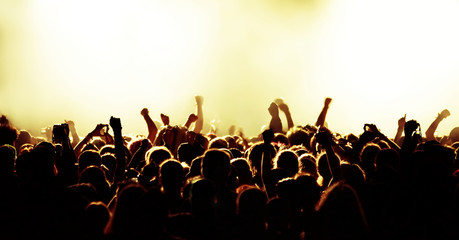Cheering crowd at concert