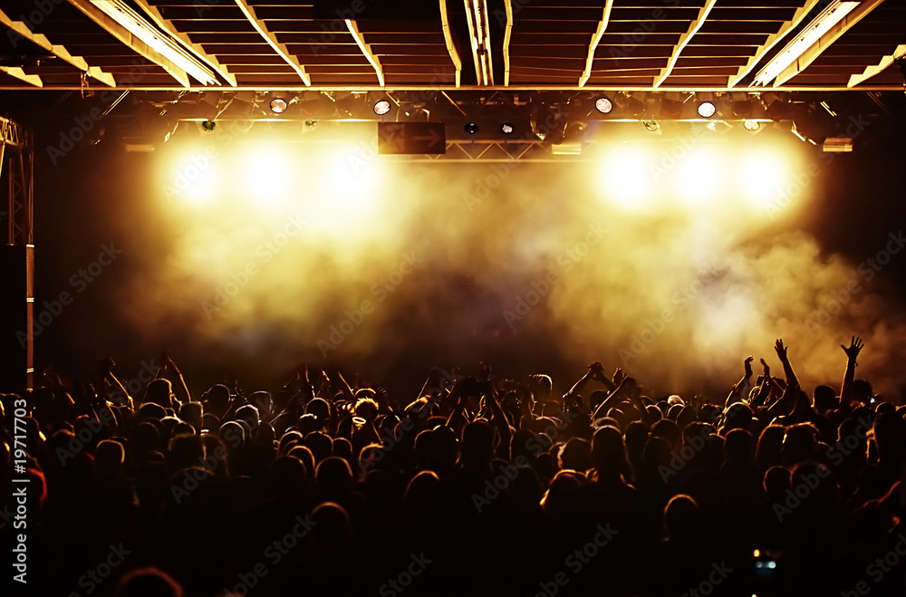 Wall mural cheering crowd at concert