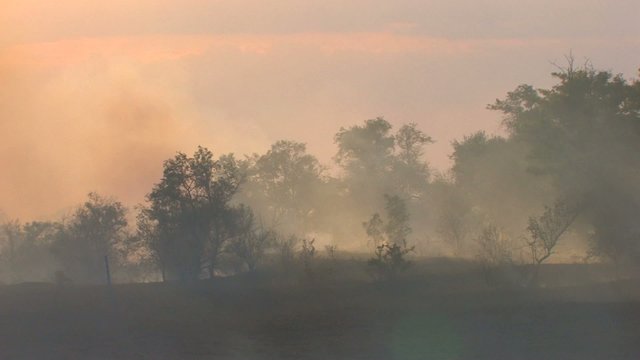 HD Smoke from burnt grass at sunset near the road