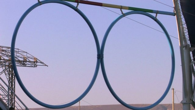 HD Dolphin show, two dolphins jumping through the rings, closeup