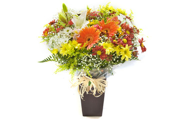 gerbera daisy wild fields flower vase bouquet
