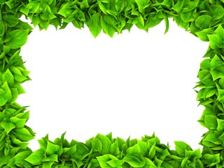 Naklejka premium Floral frame 2