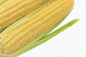 Corn