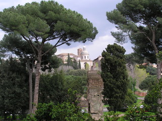 Fototapeta premium Roma