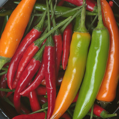 Fresh colorful chili
