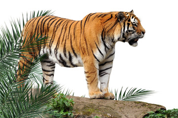Zoo 138