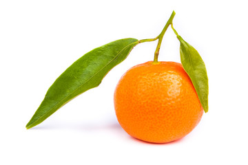 Tangerine