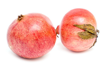 Pomegranate isolated