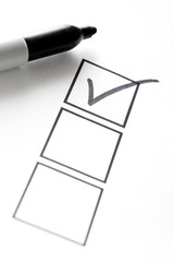 Permanent Marker with Check List