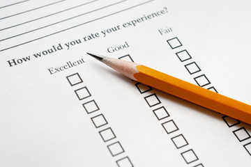 Pencil on Survey