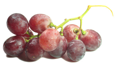 Bunch of grapes