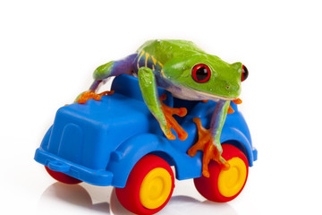 Frog Driver