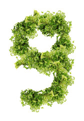 parsley nine