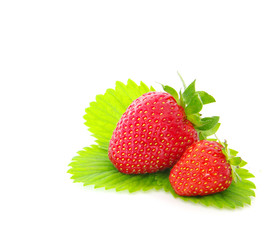 juicy strawberry