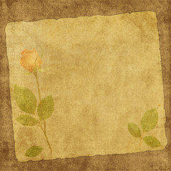 Vintage card from old paper and rose on the abstract background