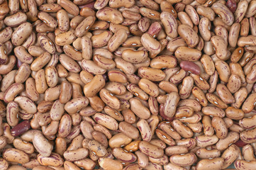 Pintobohnen, Wachtelbohnen