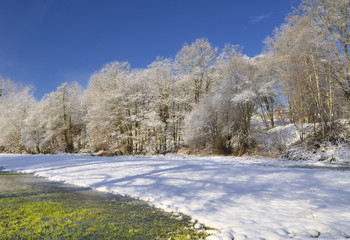 Paisaje nevado