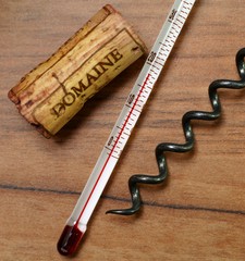 Weinthermometer