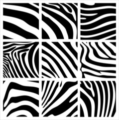 Structures of a zebra