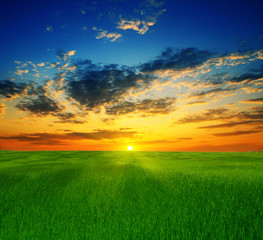 summer landscape on a background beautiful sunset