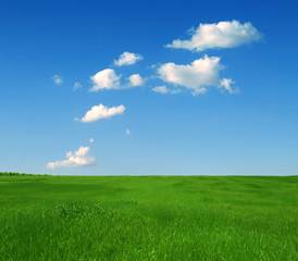 green grass and blue sky