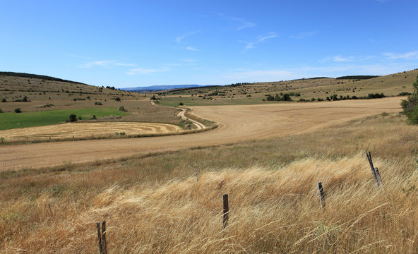 pr&eacute;s sur les hauts plateaux du larzac
