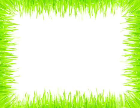 Rahmen aus Gras