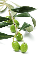 aceitunas