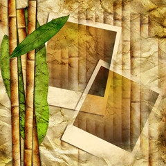 vintage bamboo background with instant frames