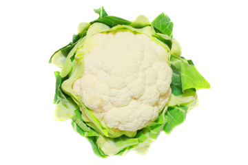 cavolfiore isolato su sfondo bianco