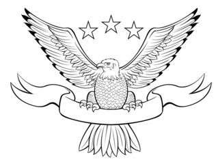 Bald eagle insignia