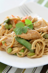 Chicken and Noodles in a Peanut Sauce