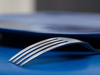 Fork and plate
