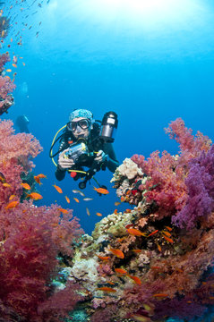 Plongeuse et photo sous-marine sur le récif, Mer Rouge, Egypte
