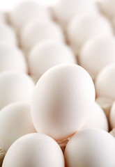 large white egg whites of eggs.