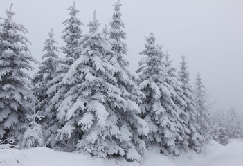 Winter im Erzgebirge