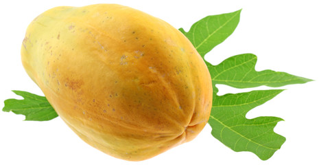 papaye entière fond blanc