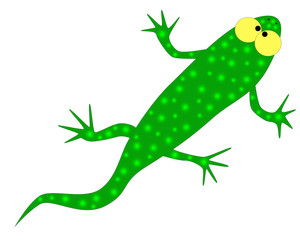 salamander