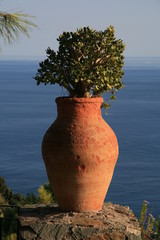 Terracotta pot and sea