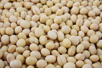 Fototapeta na wymiar Close up of soy beans
