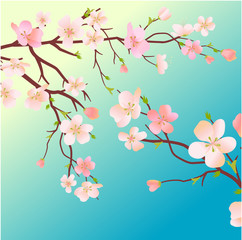 Obraz na płótnie Canvas Blossoming tree