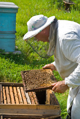 Beekeeper 67