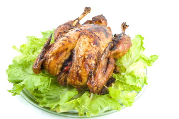 Roast Turkey