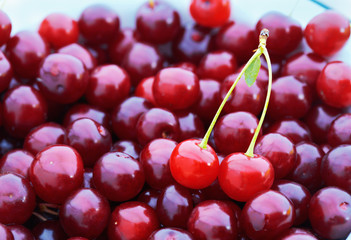 Fresh Cherries.