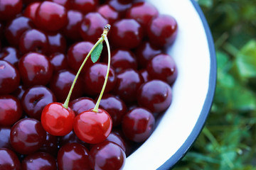 Cherries in the Bowl.