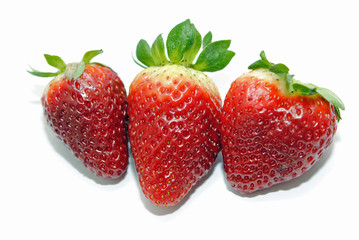 Erdbeeren