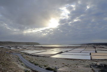 Salinas de Janubio 5